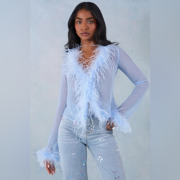 Oh Polly Tops - Oh Polly Feather Trim Sheer Top in Soft Blue